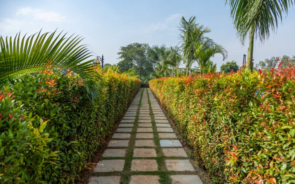 Jinja garden walkway